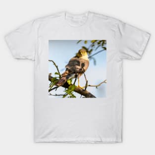 Eurasian sparrowhawk, Accipiter nisus T-Shirt